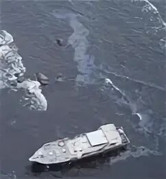 Балтийско арктическое