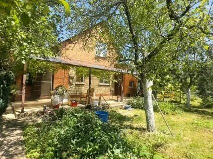 Берег кубани внии риса