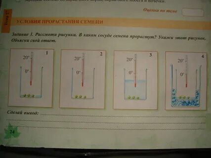 В каком из 4 сосудов семена прорастут