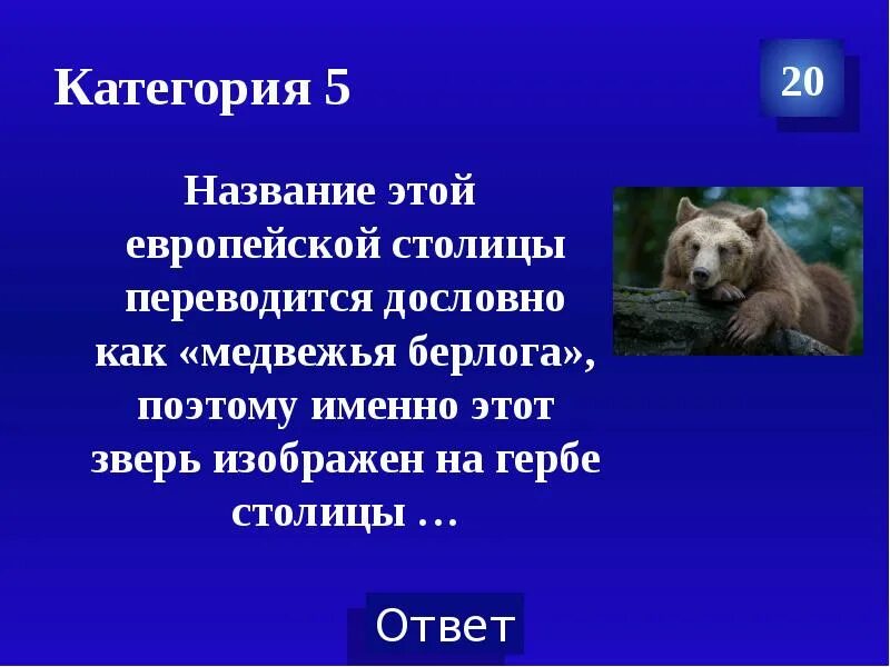 Медвежья Берлога европейская столица. Вышел из берлоги падеж