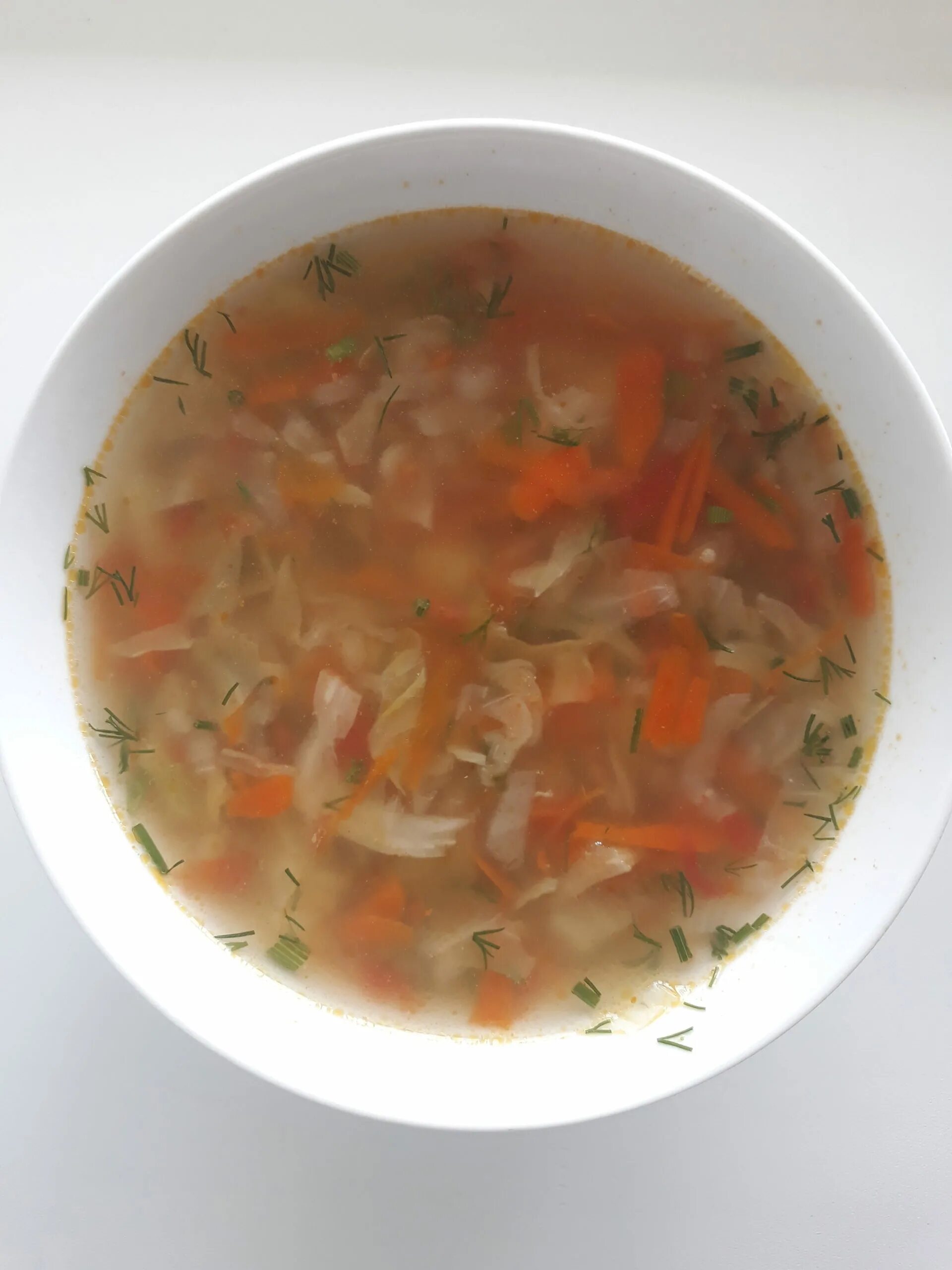 щи из свежей капусты. рассольник с свежей капустой. щи со свежей капустой. щи со свежей капустой и овощами. овощной низкокалорийный суп.