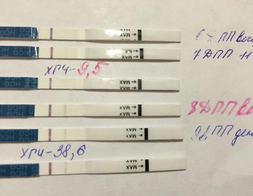 Тянет живот после эко. Эко ХГЧ на 7 ДПП. ХГЧ на 9 ДПП пятидневок. Динамика ХГЧ 7 ДПП 9 ДПП. ХГЧ на 8 ДПП пятидневок 9.