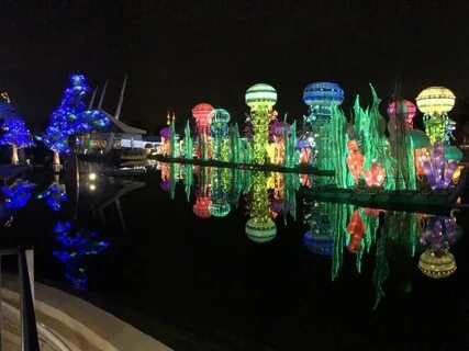 Dubai garden glow отзывы