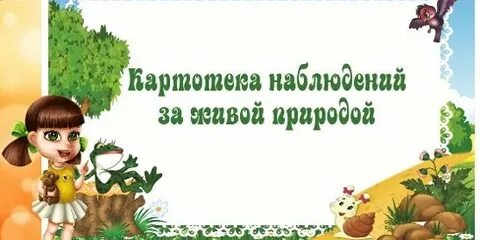 Конспект наблюдение в природе старшая группа
