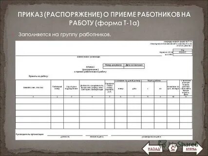Прием работников отчет