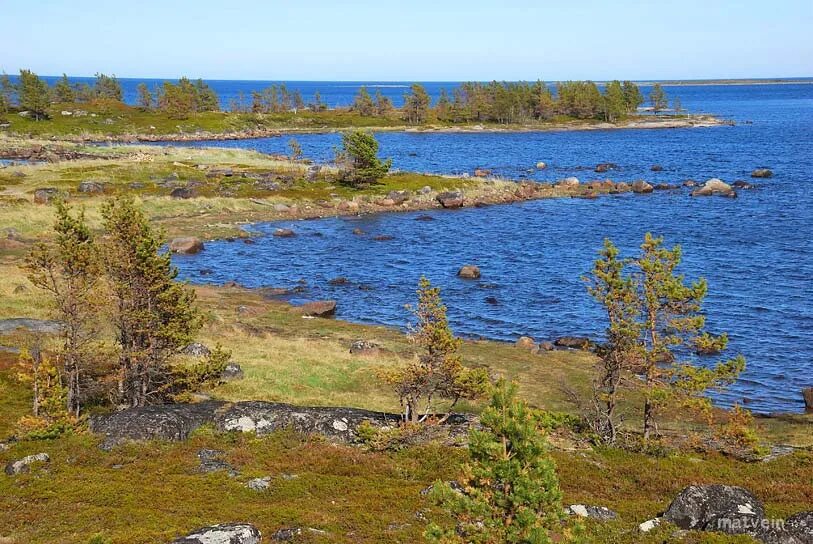 Погода в амбарном лоухский. Энгозеро Карелия. Озеро Энгозеро. Белое море Лоухский район. Чупа посёлок Карелия.