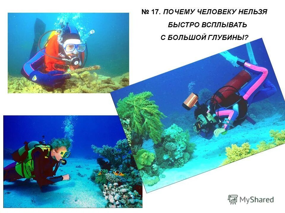 Говорящие знаки. Нельзя быстрее. Интерактивные дорожные знаки. Нельзя быстрее. Нельзя просто так взять оригинал.