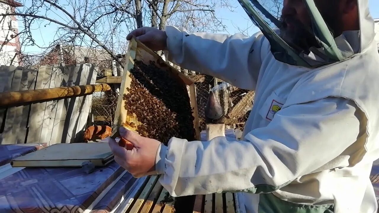 Пчелы после зимовки что делать. Подготовка ульев к зиме. Подготовка пчел к зиме. Пчеловодство подготовка на зиму. Подготовка пчел к зимовке.