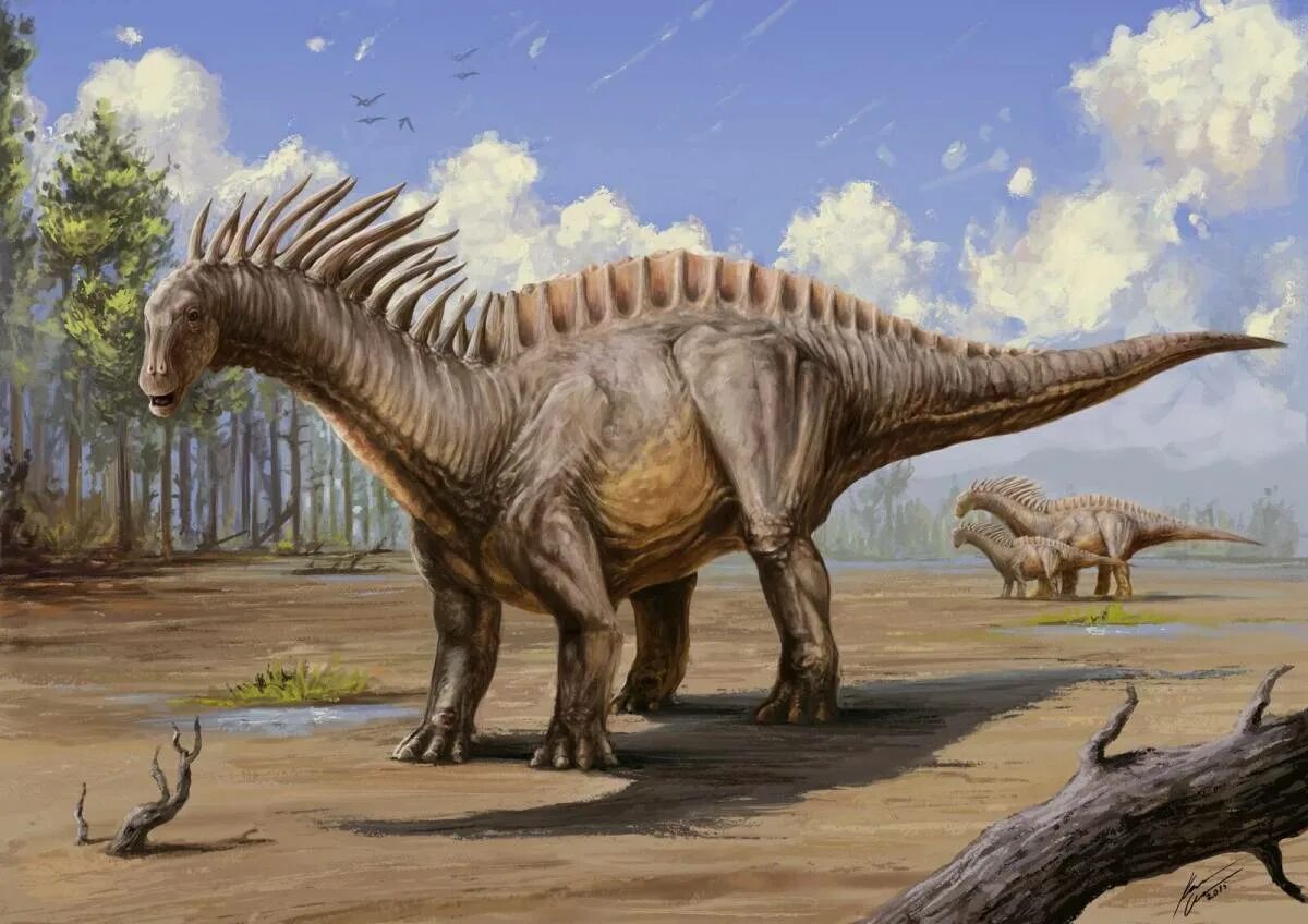 Динозавра завр. Амаргазавр динозавр. амаргазавр jurassic world evolution 2. амаргазавр арк. гигантозавр зауропод.