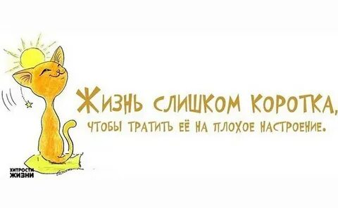 Жизнь слишком хороша песня
