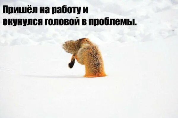 Нужно идти по головам