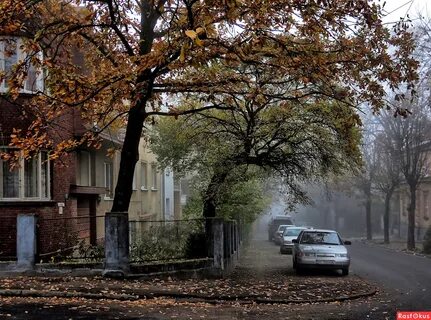 Фото улицы осенью