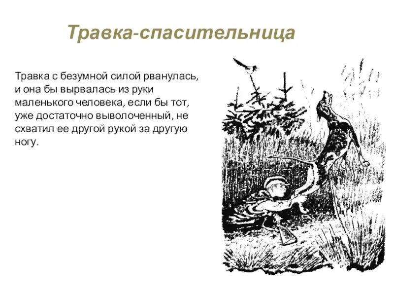 Тест по кладовой солнца 6 класс. Пришвин кладовая солнца иллюстрации. Иллюстрация к сказке кладовая солнца и цитаты. Иллюстрация к сказке были кладовая солнца. Пришвин м.м. "кладовая солнца".