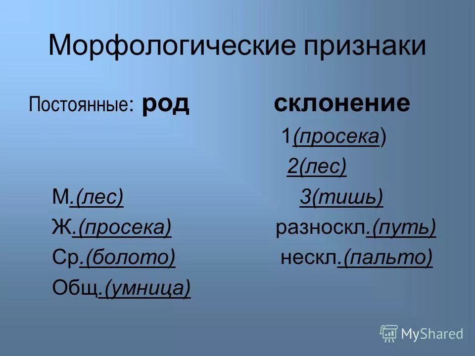 Определи морфологические признаки выделенных слов