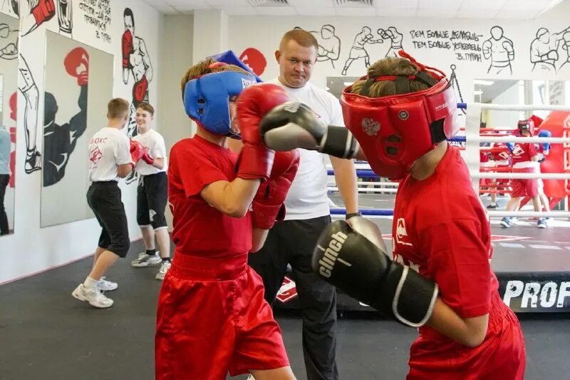 бокс люберцы. соревнования по боксу в миассе 2022. чехов витязь бокс. бокс люберцы. бокс люберцы.