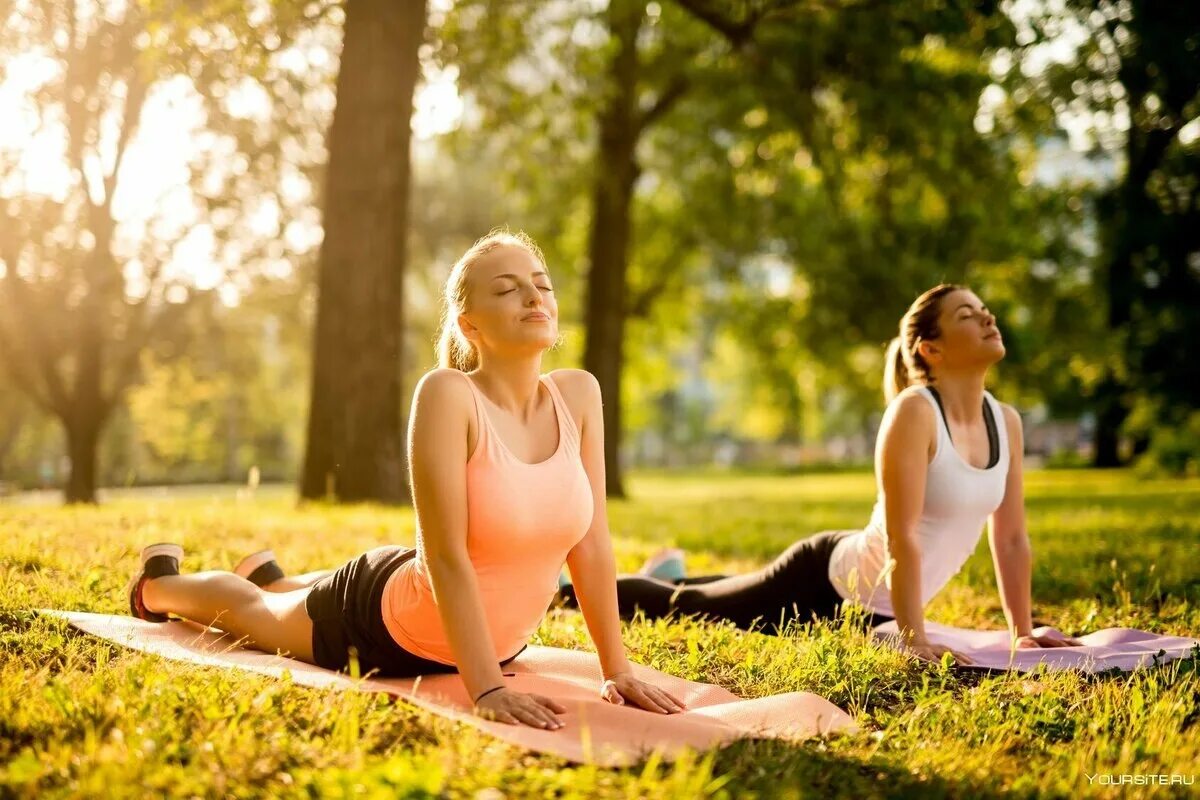 Активный образ жизни. Арки для тренировки. Занятие йогой на открытом воздухе. Занятия йогой на природе. Заняться спортом в парке.