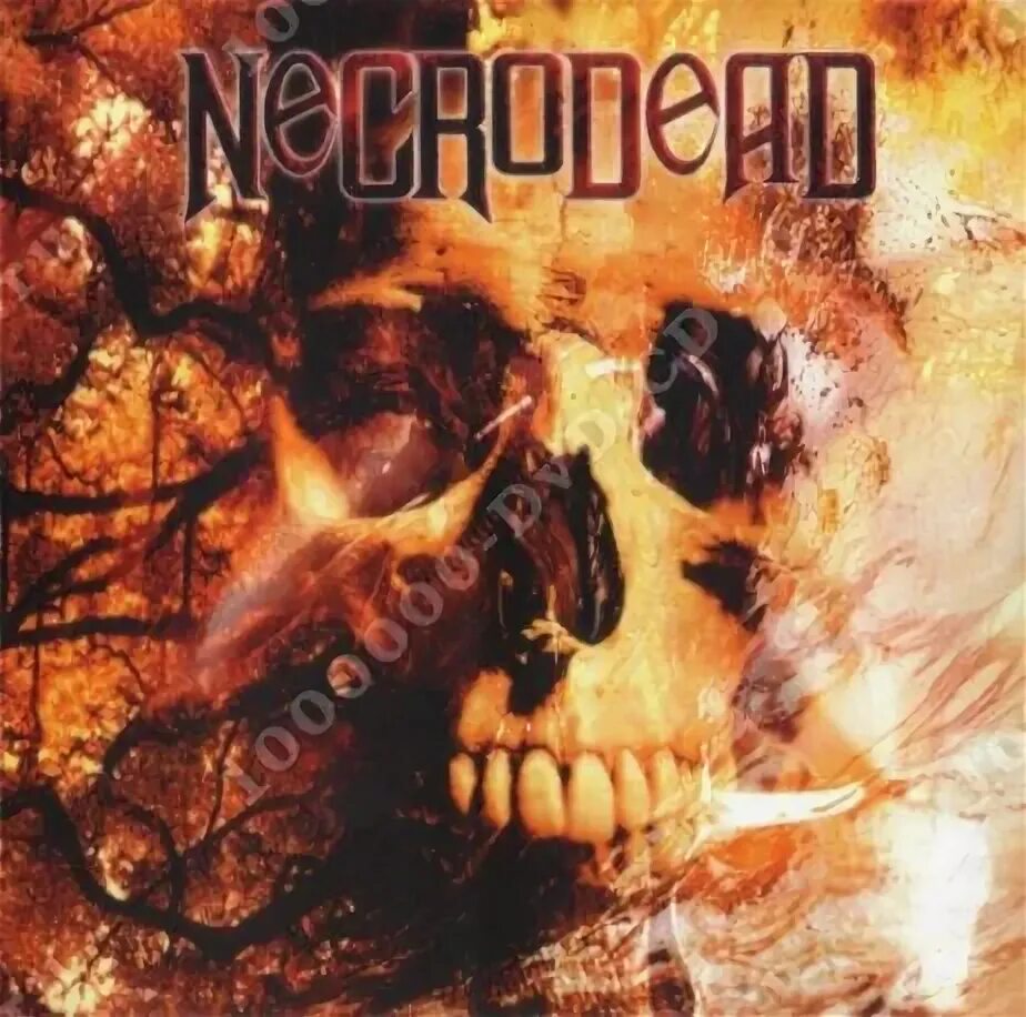 Dead path