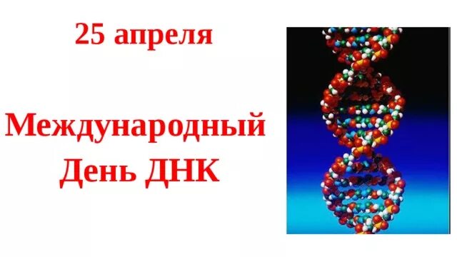 День днк 25 апреля. Всемирный день днк. Международный день днк 25 апреля. С днем днк открытки. День днк 25 апреля.