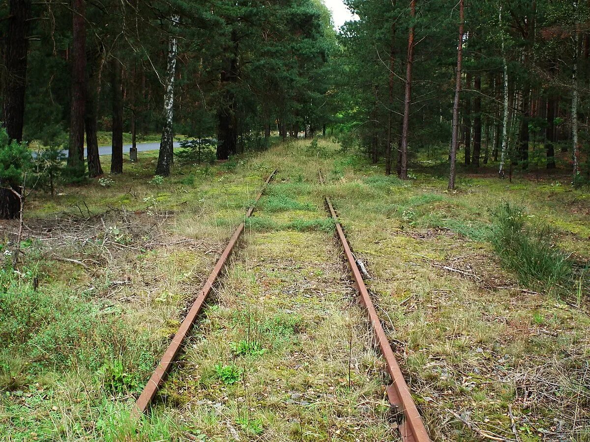 Railway line. Миниколейные железные дороги. Полевые разборные железные дороги. Kolejowa вокзал. Железные дороги Орловской области.