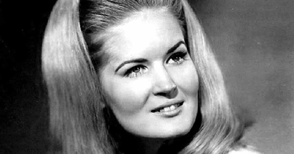 Rose anderson. Rose anderson. Роуз линн. Rose anderson. Anderson rose agency.