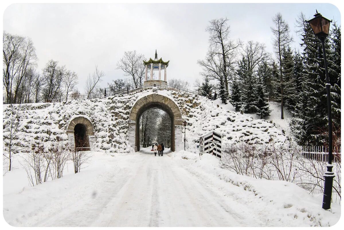 изображение александрийского парка в бийске. камеры города пушкина. музей царское село. город пушкин петербургское шоссе. александровский парк пушкин карта.