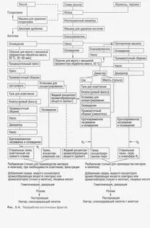 Основные этапы обработки яблок на производстве