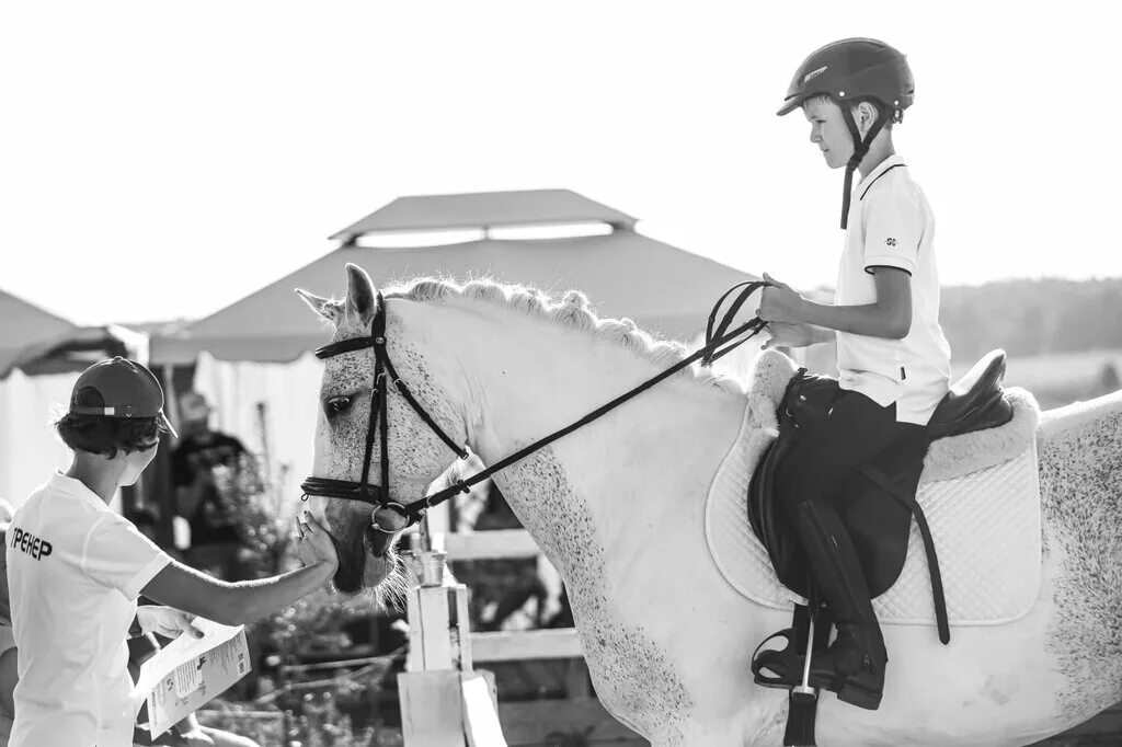 Конные соревнования новосибирск. Новотырышкино ипподром. Ипподром акбузат конюшня. Наездник 5. Профессиональный наездник на скачках бегах.