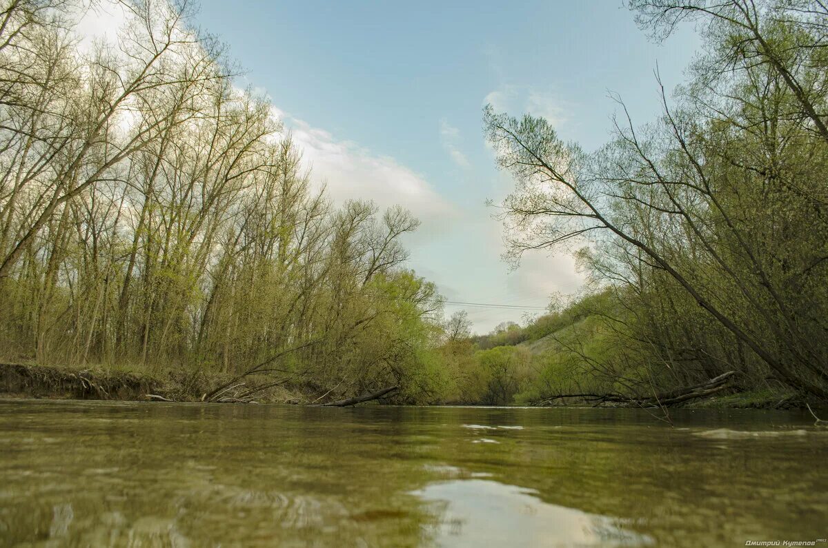 химкинский лесопарк. красивое и тихое место озеро без ломов. река крушма глубина. под курском. кейд вудворд тихое место.