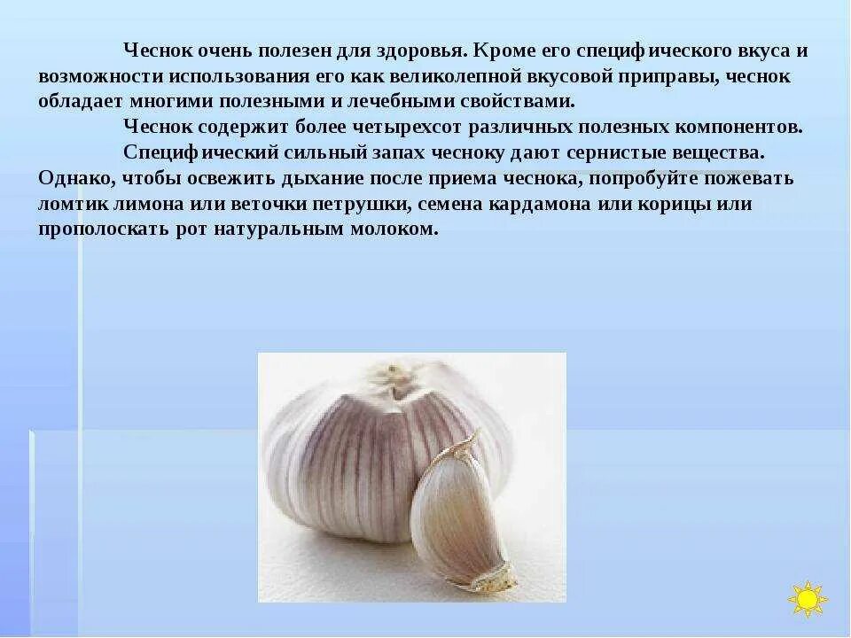 Организма. Польза и вред чеснока для мужчин. Польза и вред чеснока для мужчин. Чеснок польза. Чеснок польза.