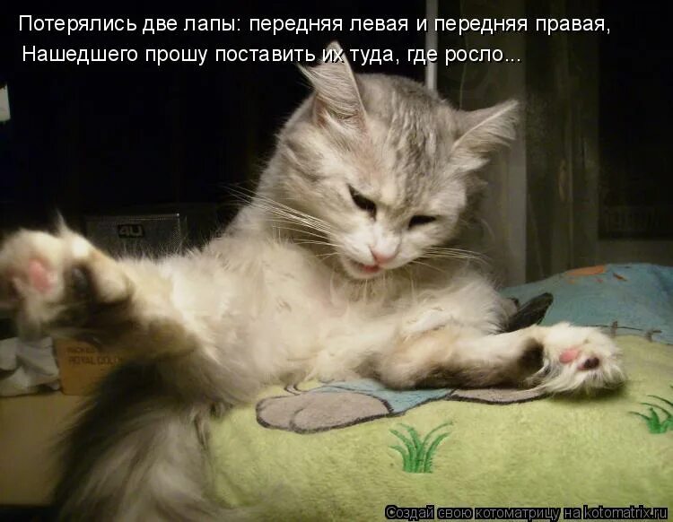 Хорошие слова лучшей подруге. Потерять 2. Один дома 2 затерянный в нью йорке 1992 постер. Потерять 2. Зря картинка.