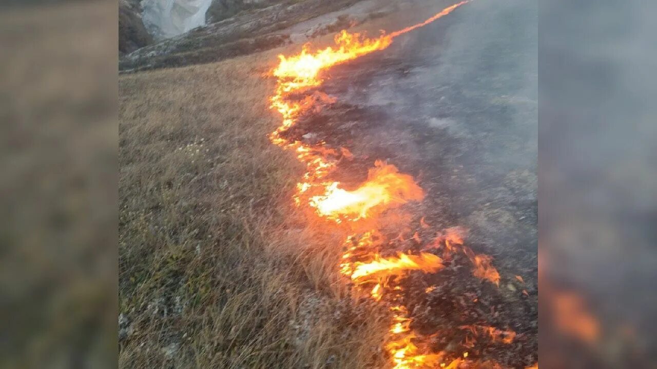 Пожар в новороссийске. Потушили ли пожар под новороссийском. Пожар в новороссийске сейчас. Пожар новороссийск тепловые сети. Пожар в южном районе новороссийска.