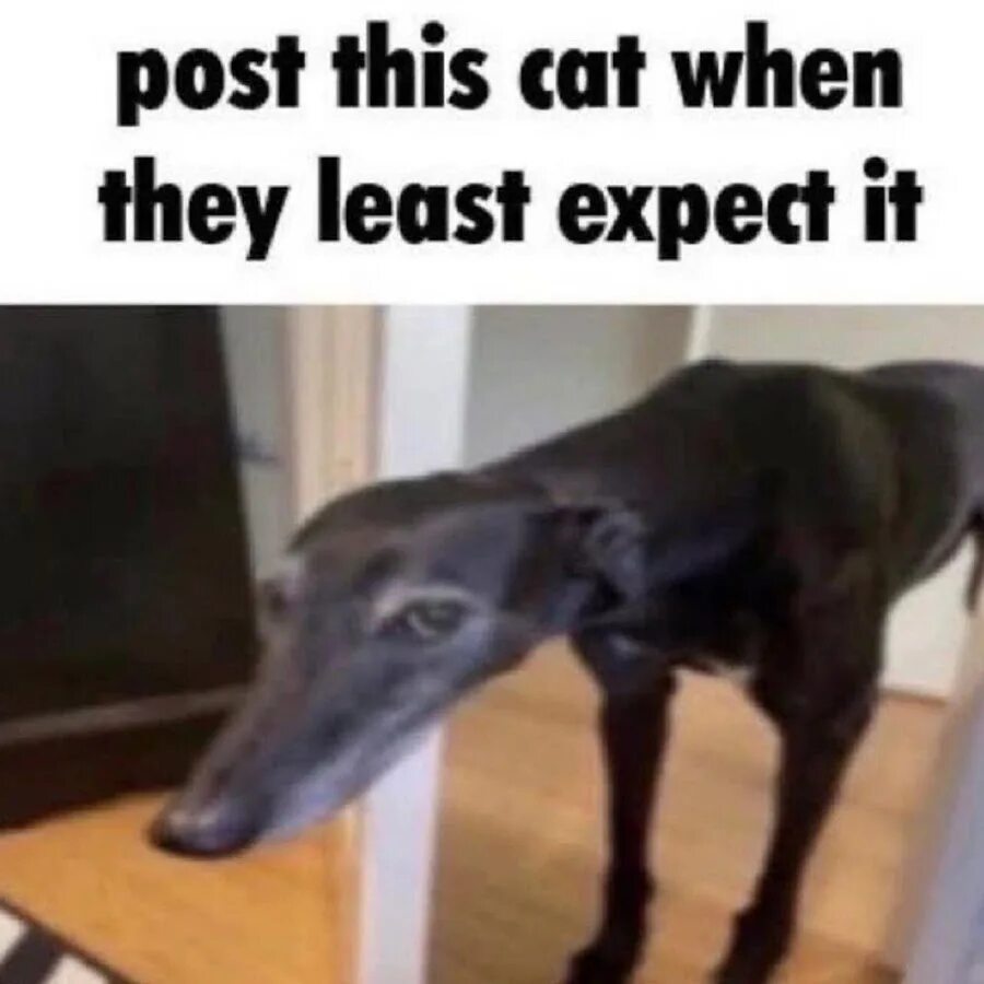 Of them are a little