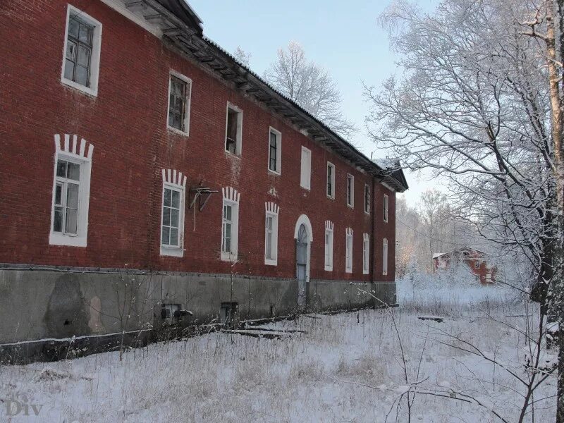 Новоселицы новгородская область