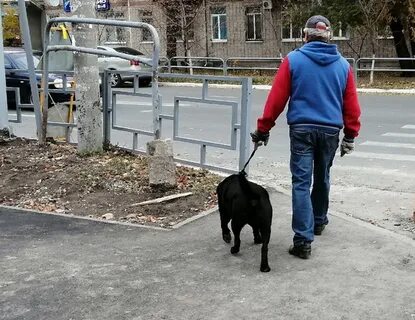 Ограничить животных