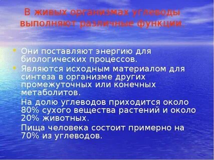 Значение углеводов для организма биология