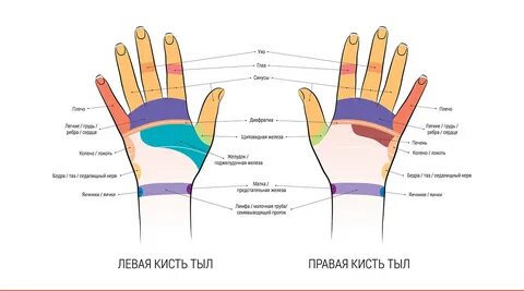 Левое запястье где фото на руке
