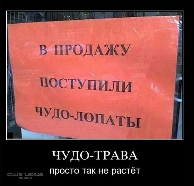 В продажу они поступают. Анекдот про счастье. Рынок техники. Поступивший в продажу в апреле мобильный телефон стоил 7000. В продажу они поступают.