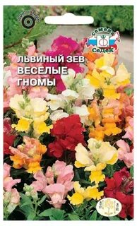 Семена веселые гномики