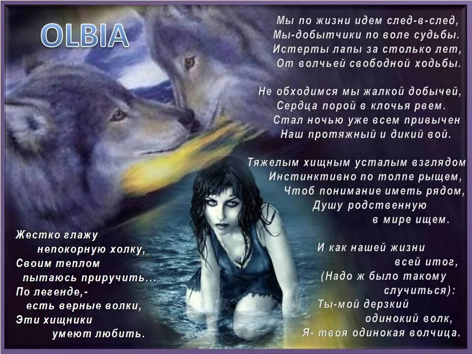 одинокая волчица добронравов. стих про волка. молодая волчица текст. стихи. стихи про волков.