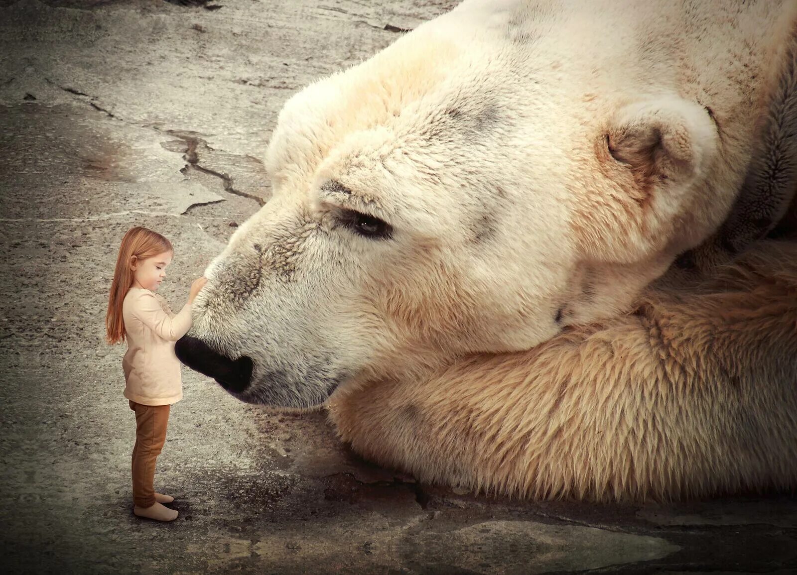 Белый медведь девочка. Фотосессия с белым медведем. Медвежонок для детей. Белый медведь девочка. Зимние арты.
