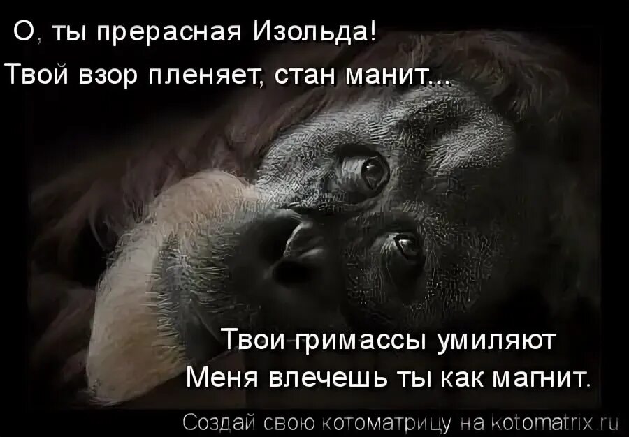 Весна радость. Девушка в золотой клетке. Пленять взор. Пленять взор. Весна любовь.