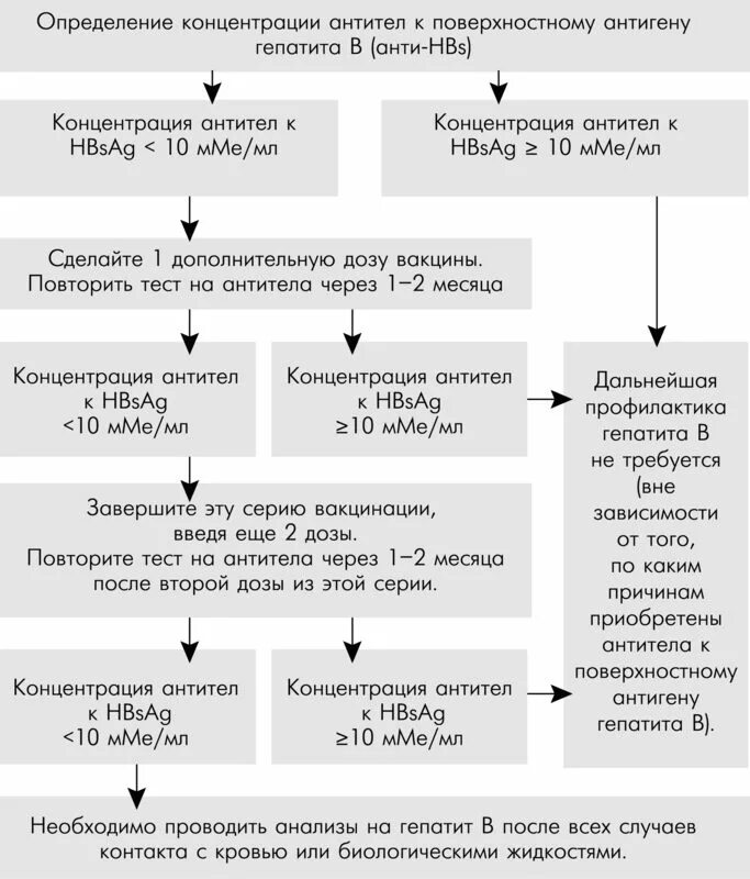 Исследование антигена hbs отрицательно. Антитела igg к антигену hbcag. Антитела к поверхностному антигену вируса гепатита в. Количественный hbsag интерпретация. Антитела к антигену hbsag что это.