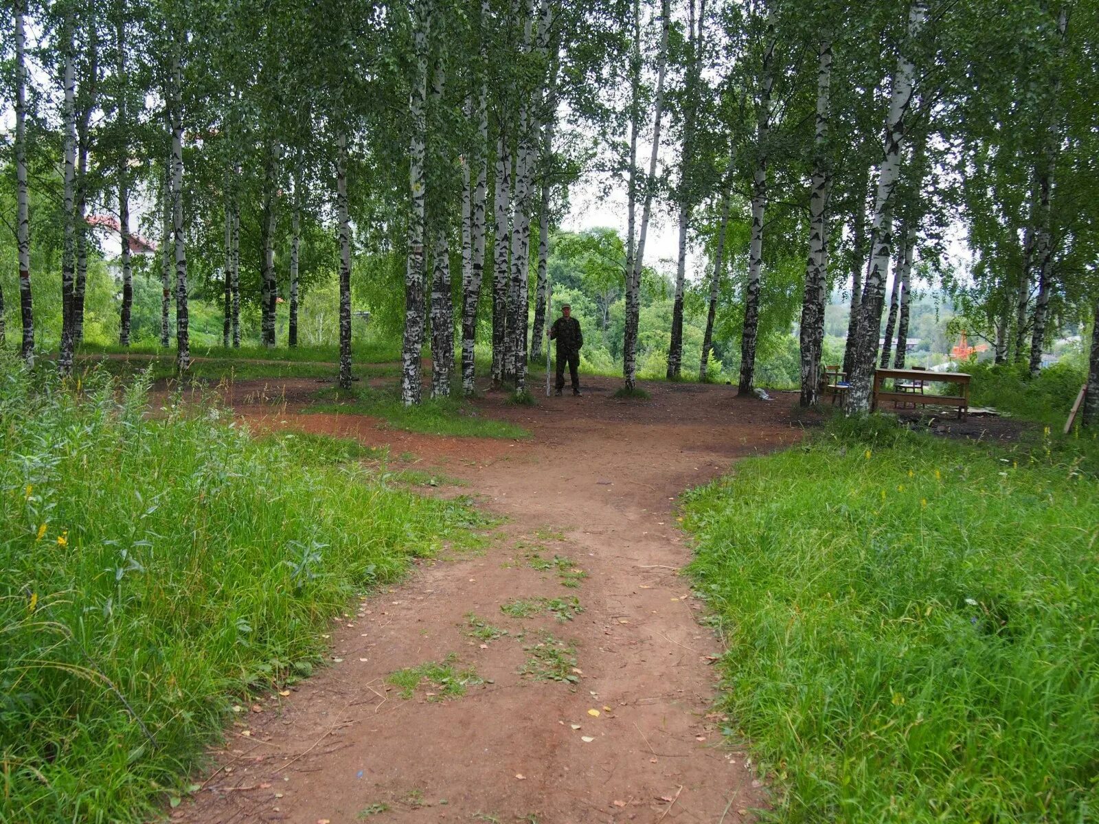 Наговицинское городище киров. Лебяжское городище кировская область. Чижевское городище. Кривоборское городище. Кривоборское городище.