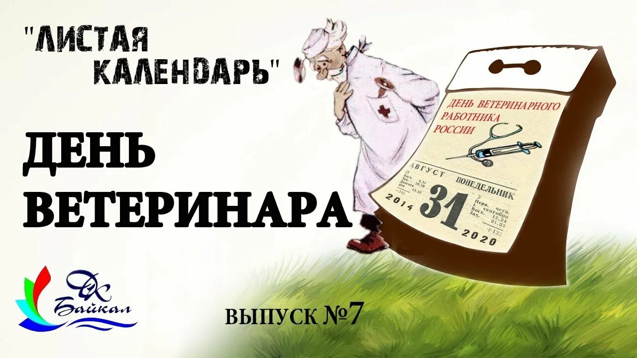 Песня листаем листаем листаем календарь. Календарь ветеринара. листая календарь.