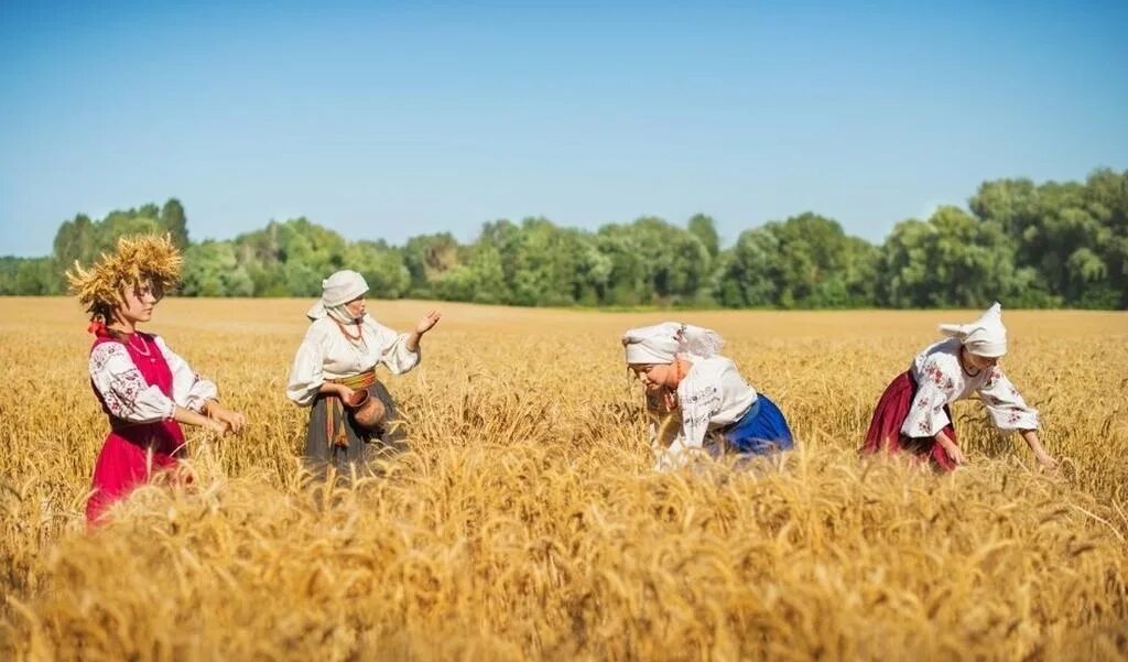 Поля и ее друзья