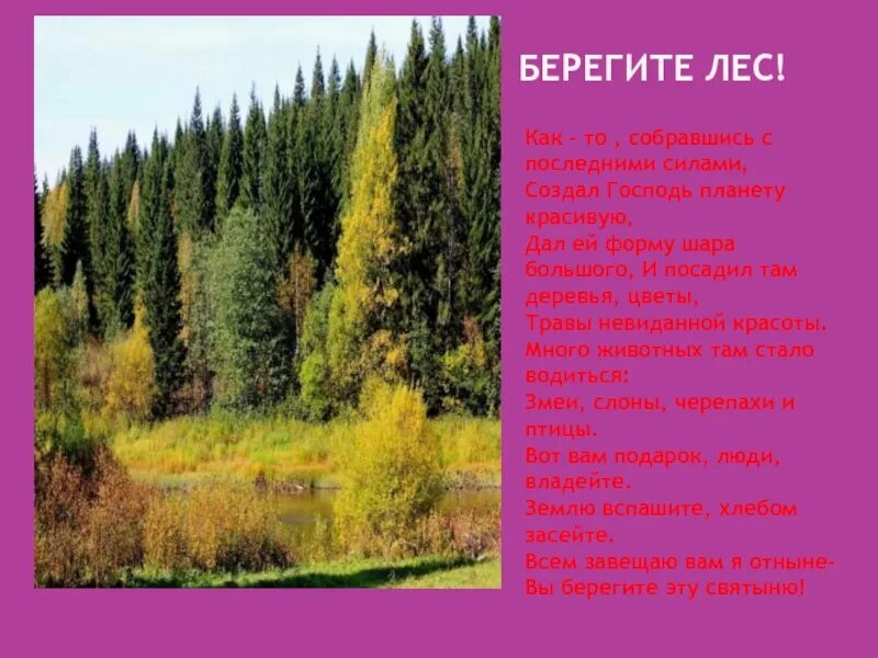 Песня берегите лес. Лес наше богатство. лес наше богатство береги его стих. что такое лес и как его беречь. стихи на тему берегите лес карелии.