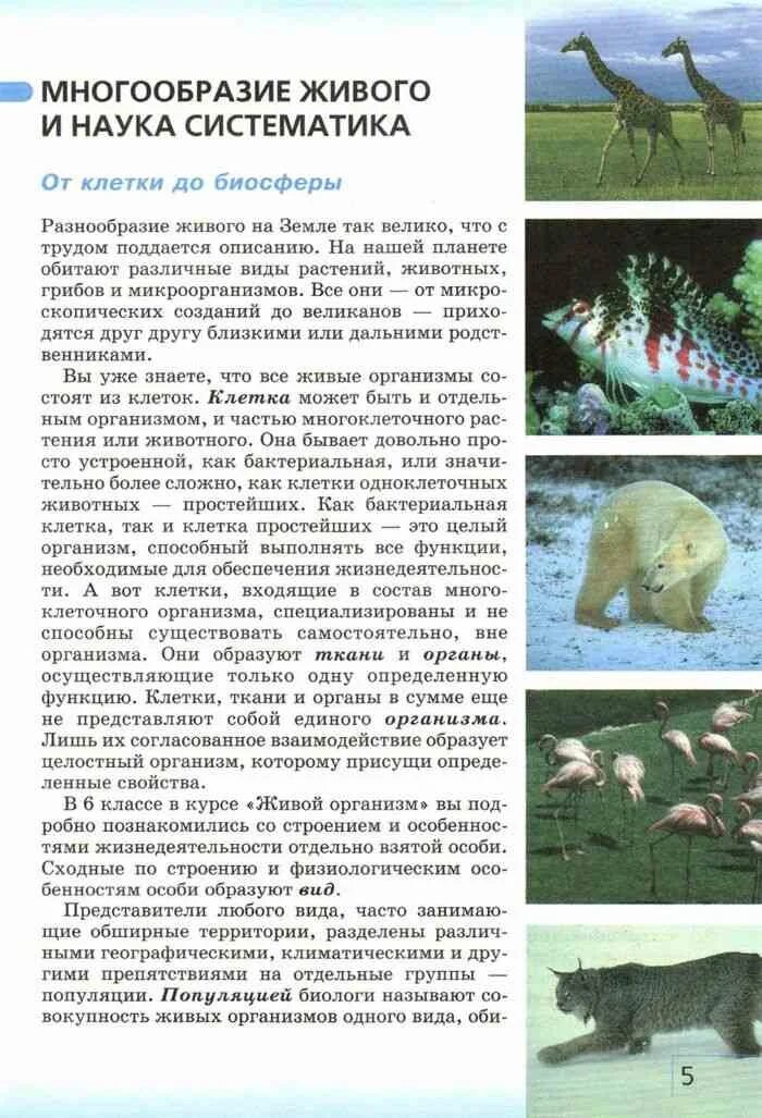 Разнообразие живых организмов. Систематика объединяет организмы в группы на основе. Наука экология а систематика. Наука о многообразие живых организмов. Разнообразие живых организмов на земле.