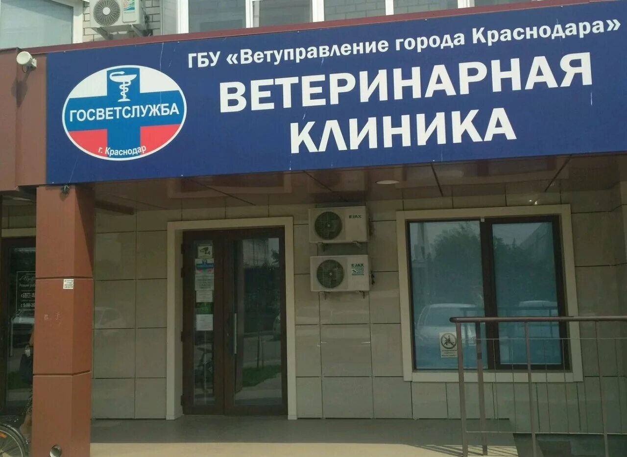 Круглосуточные ветеринарные клиники краснодар прикубанский округ. Зоолэнд ветклиника краснодар. Ветеринарные клиники краснодар отзывы. Ветеринарные клиники на весеннем. Ветклиника воля краснодар.