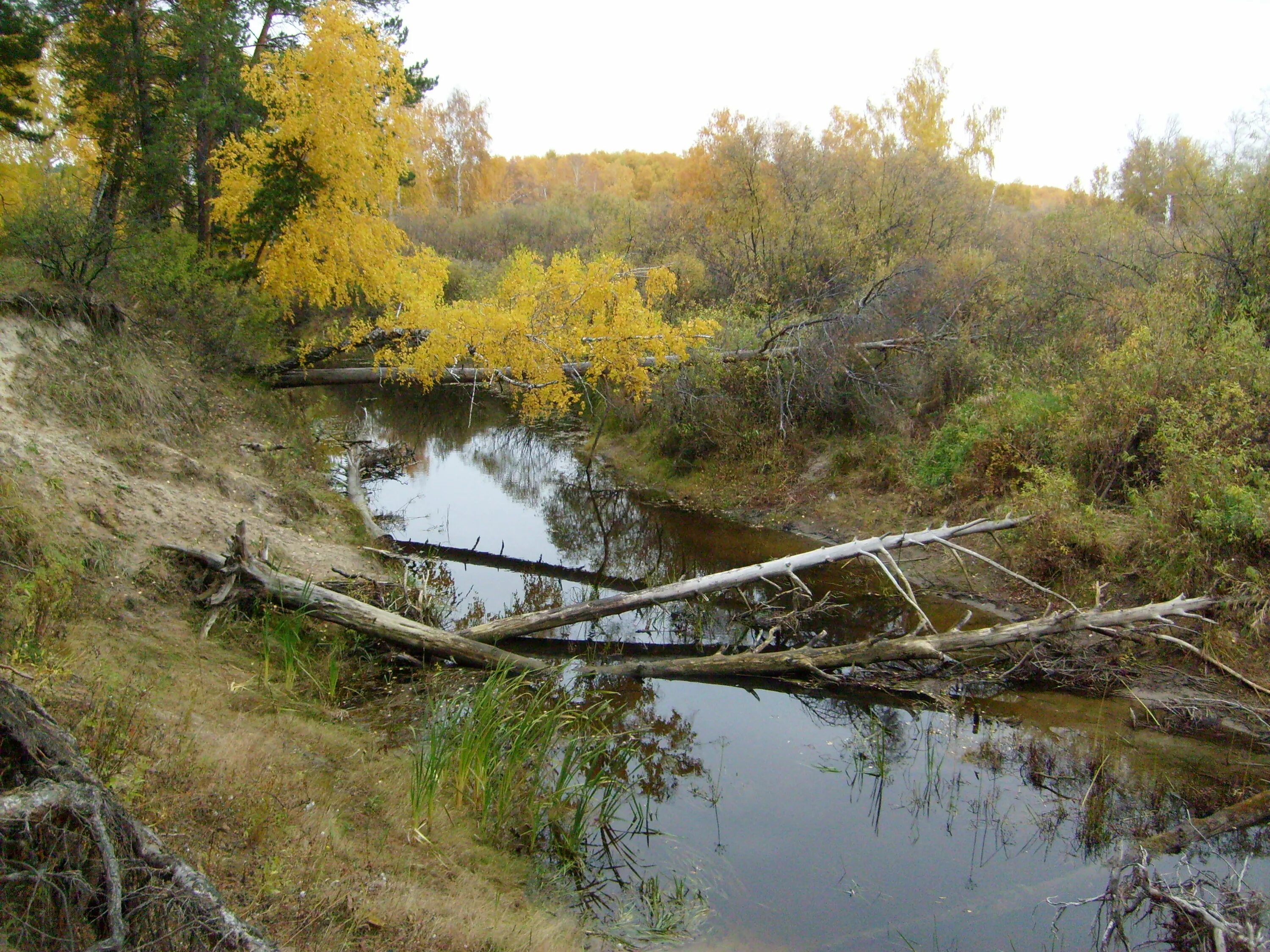 Хабарский район село Новоильинка. Алтайский край Хабарский район село Утянка. Село Новоильинка Алтайский край. Хабары Новоильинка Алтайский край. Погода мартовка алтайский край хабарский