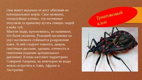 Какие ядовитые люди
